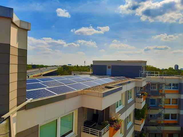 Rows of solar panels in Sunshine Coastharnessing