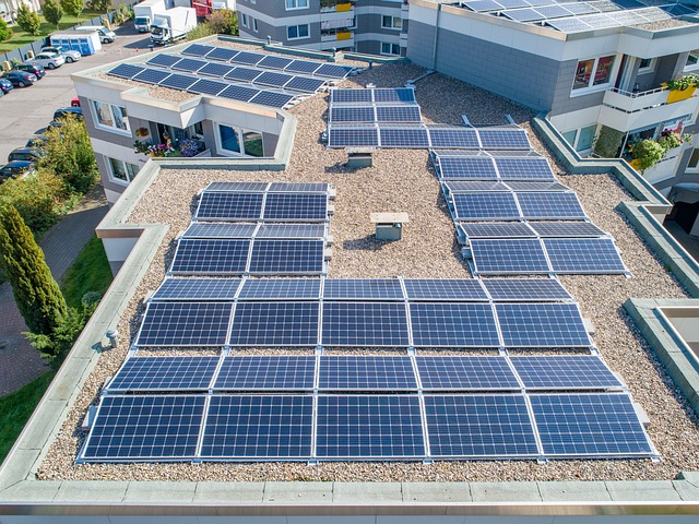 Solar Panel Cleaning Sunshine Coast