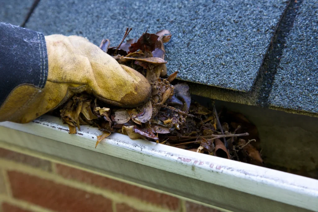 Gutter Cleaning in Sunshine Coast, Queensland.